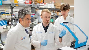 Investigadores de la Universidad de Florida (UF).