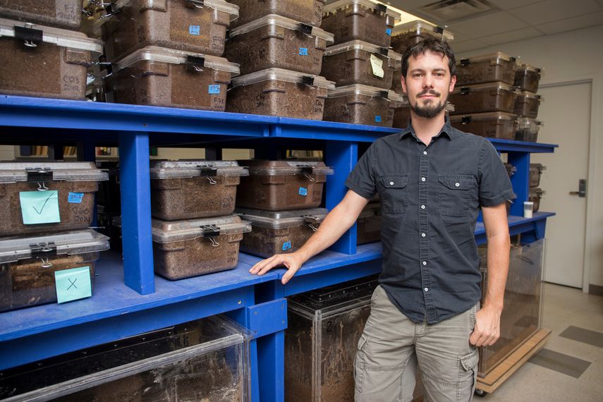 Thomas Chouvenc, profesor asociado de entomología urbana del University of Florida Institute of Food and Agricultural Sciences (UF/IFAS)
