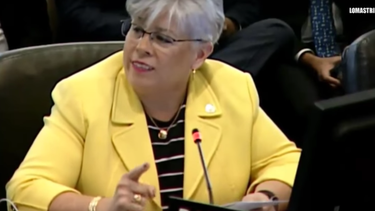 La embajadora de Paraguay Elisa Ruiz Díaz le dio una contundente respuesta a Delcy Rodríguez.&nbsp;