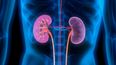 Las bebidas azucaradas afectan la función renal en el organismo, según instituto mexicano.&nbsp;