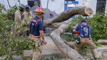 Bomberos de&nbsp;Miami&nbsp;tratan de retirar un árbol caído sobre la avenida Brickell, tras el huracán&nbsp;Irma, en&nbsp;Miami, Florida.&nbsp;