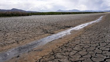  A través de la tierra seca y agrietada de un antiguo humedal cerca de Tulelake, California, corre un pequeño arroyo el 9 de junio de 2021. 