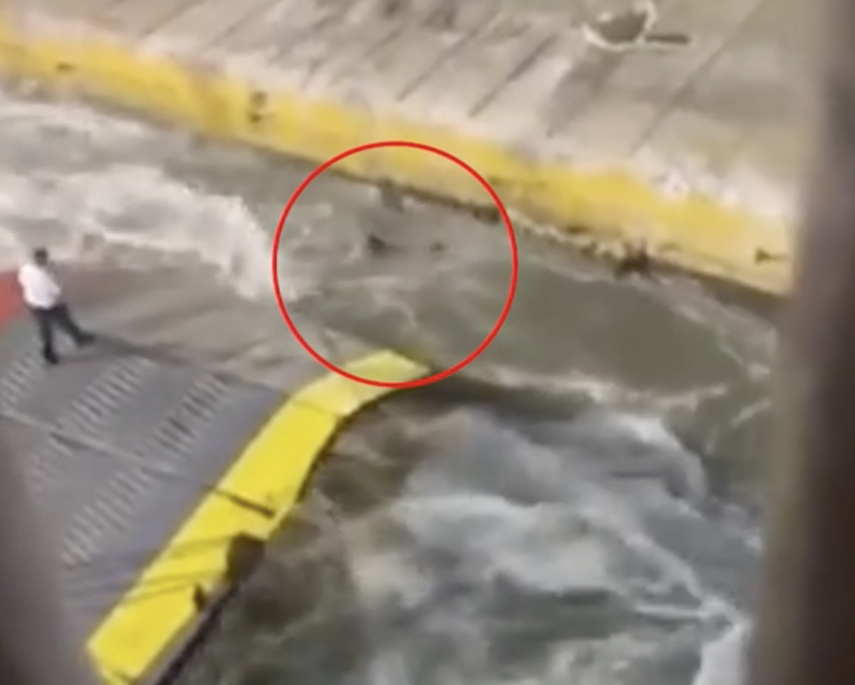 Momento en el que el pasajero cae al mar desde la rampa de un ferry que zarpaba en un puerto de Grecia.&nbsp;