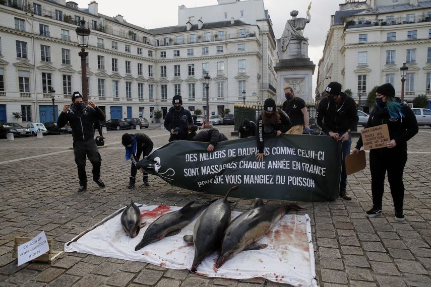 Activistas están parados junto a cuatro delfines muertos que extendieron afuera del Parlamento de Francia en París, el martes 2 de febrero de 2021.&nbsp;