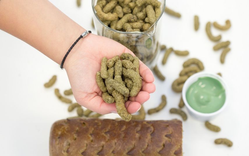 Pan, patatas fritas y helado de algas, presentados por el Instituto Alemán de Tecnología de los Alimentos.
