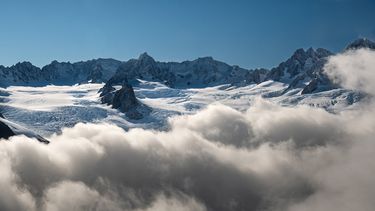 La principal tarea del elegido será ayudar a la protección de especies raras del oeste de la costa de la isla sur de Nueva Zelanda.