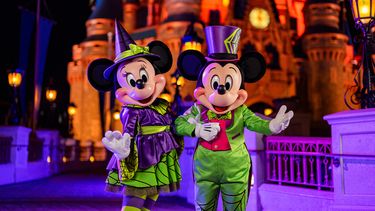 Los visitantes pueden esperar una festiva temporada de otoño en Walt Disney World Resort en Lake Buena Vista, Florida.
