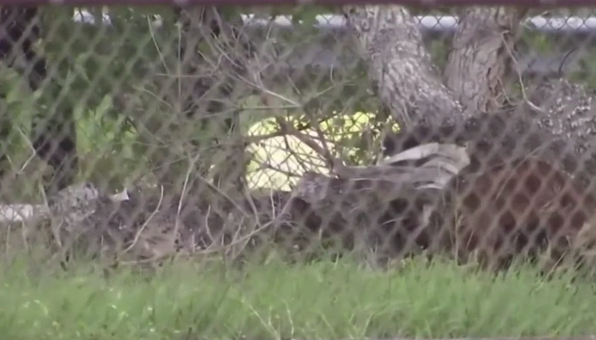 El hecho ocurrió a ls 12:55 pm de este domingo.&nbsp;