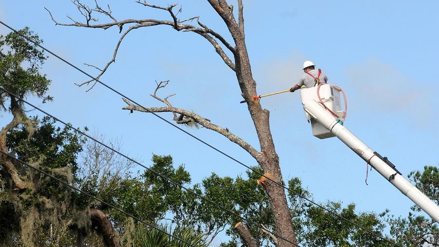 Un miembro de la empresa eléctrica poda un árbol para reparar líneas de energía dañadas por el paso del Huracán&nbsp;Matthew&nbsp;en Jacksonville,&nbsp;Florida.
