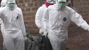 la resistencia a las superbacterias