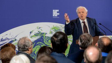 El locutor y conservacionista británico David Attenborough habla durante el evento de lanzamiento de la COP26, la conferencia de las Naciones Unidas sobre el Cambio Climático, en el centro de Londres el 4 de febrero de 2020. 