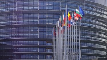 Banderas de los países que integran el Parlamento Europeo.