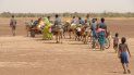Pandemia de COVID-19 redujo migración mundial en un 30% Pandemia de COVID-19 redujo migración mundial en un 30%