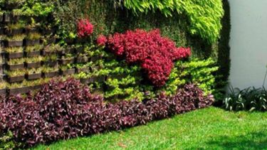 10 eventos imperdibles en la feria del libro de miami