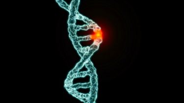 Se ha confirmado que la mutación del gen BRCA no solo es responsable del cáncer de mama y ovario, sino también de estómago y próstata. (CORTESÍA)