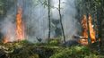 Récord de CO2 emitido por incendios forestales en el hemisferio norte