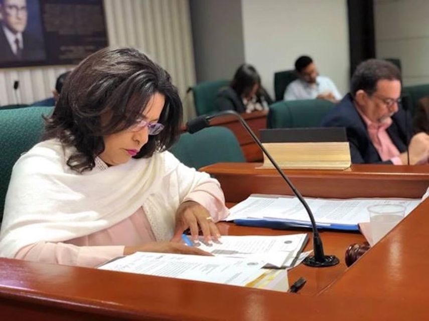 María Milagros Charbonier Laureano, presidenta de la Comisión de lo Jurídico.&nbsp;