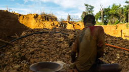 Régimen de Maduro protege la extracción ilegal del oro en el Arco Minero, en Venezuela.