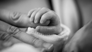 Durante 2024 se registraron 175.364 matrimonios, un 1,7% más que en 2023. La tasa bruta de nupcialidad aumentó tres centésimas y se situó en 3,6 matrimonios por cada 1.000 habitantes.