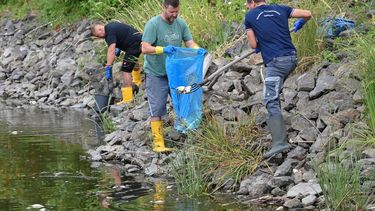 Voluntarios sacan peces muertos del río Oder en Lebus, en el oriente de Alemania, el 13 de agosto del 2022.