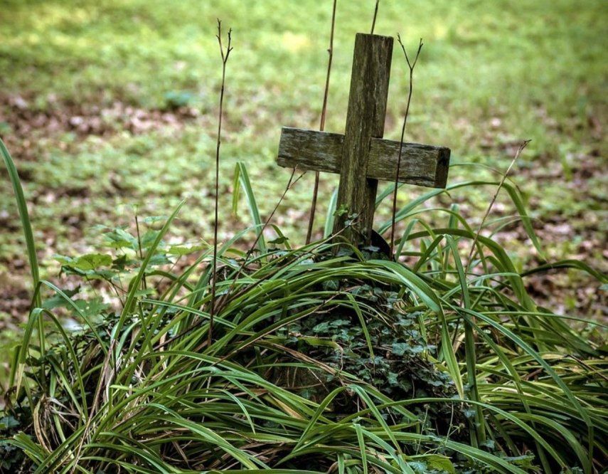 &nbsp;Los cadáveres de unos 200 migrantes que se dirigían a Estados Unidos y murieron al atravesar la peligrosa selva del Darién.