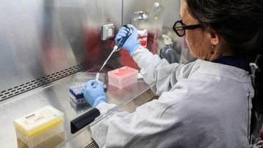 Esta fotografía, distribuida por el Ministerio de Salud de Argentina, muestra a un científico del Instituto Malbrán manipulando recipientes utilizados para diagnosticar el hantavirus Andes.&nbsp;
