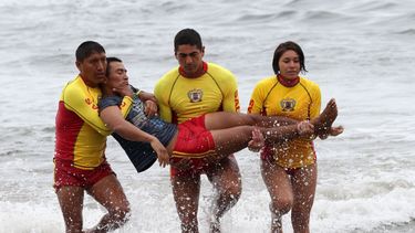 La prevención atrae relativamente poca atención y pocos recursos y es descuidada aún teniendo en cuenta su impacto en las familias, las comunidades y las subsistencias.