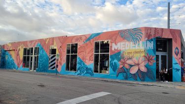 Mural en la fachada de Wanitta en Wynwood.