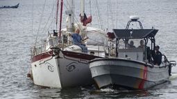 velero rescatado en Colombia