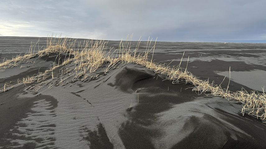 Reynisfjara, Islandia.
