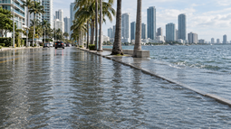 Marea real en una calle de Miami.