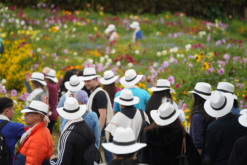 Centenares de visitantes llegan a la finca El Pensamiento, en el corregimiento Santa Elena. Centenares de visitantes llegan a la finca El Pensamiento, en el corregimiento Santa Elena.