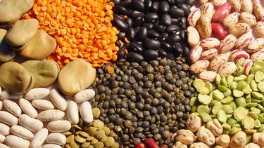 Se analizó el consumo de legumbres en 7.212 individuos con alto riesgo de enfermedad cardiovascular.