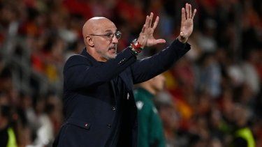 Luis de la Fuente, seleccionador de España, da indicaciones durante un partido ante Suiza, el 18 de noviembre de 2024.