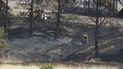 Bomberos trabajando en una zona de árboles quemados frente a un inmueble en construcción, el viernes 22 de abril de 2022, en Colorado Springs, Colorado. 