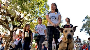 Cientos de personas con sus mascotas marcharon por céntricas calles de La Habana para exigir el fin del maltrato animal y la aprobación de una ley sobre el tema, este 7 de abril de 2019.