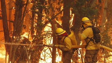 Dos bomberos tratan de apagar el fuego en la comuna de Cauquenes el pasado 24 de enero de 2017.&nbsp;