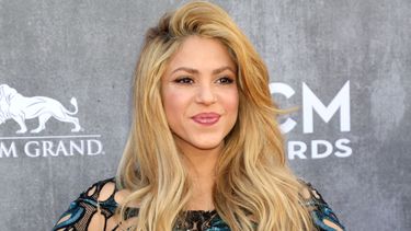 La cantante Shakira.