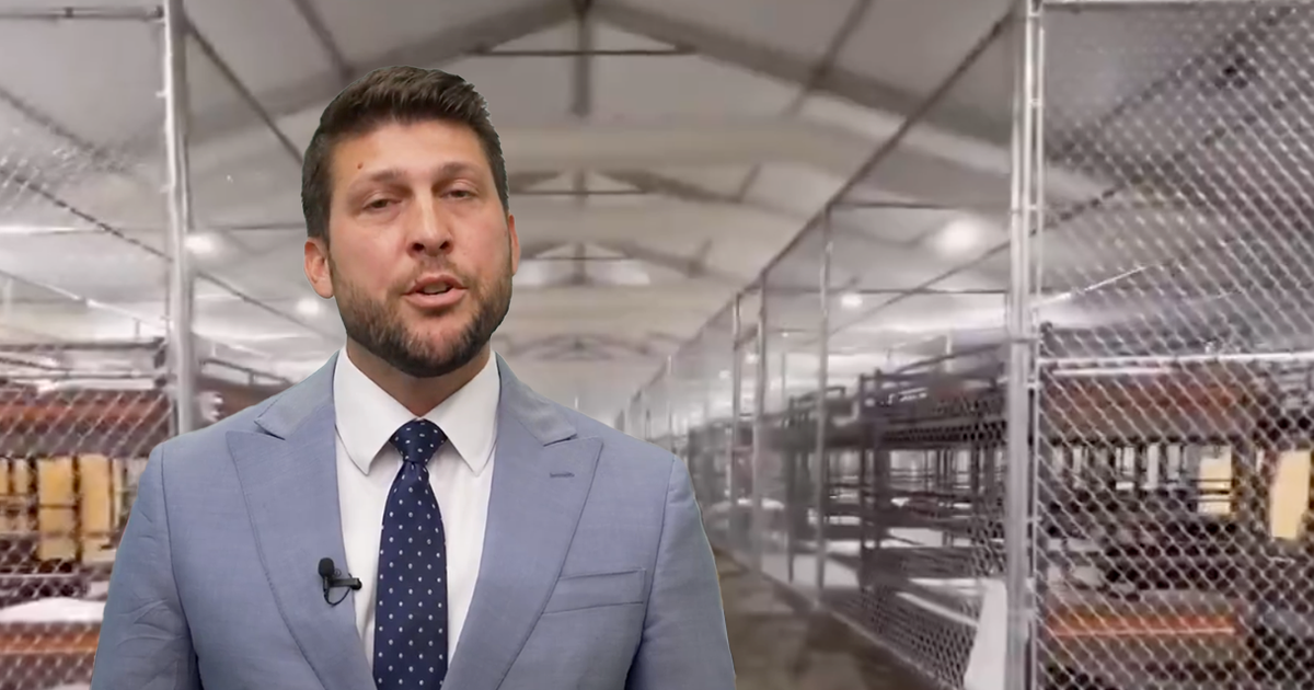 Florida desafía orden judicial de cierre del centro “Alligator Alcatraz” y anuncia “Plan B”