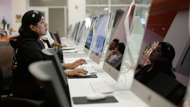 Rosemary Cabelo utiliza una computadora en una biblioteca pública, en San Antonio, Texas, para acceder al cibersitio gubernamental de salud.  (AP Photo/Eric Gay, File)
