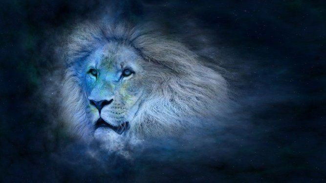 Anualmente ocurre el portal León 8/8, un fenómeno altamente llamativo para los amantes de la astrología.