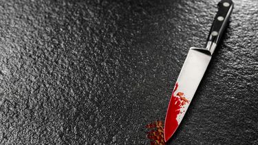 Profesora muere apuñalada por un alumno en plena clase en Francia