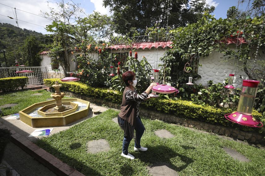 Leonor Pardo llena un comedero para colibríes en su jardín en San Francisco de Sales, Colombia, el jueves 10 de diciembre de 2020. Lo que comenzó como una fuente de alimentación de aves en su jardín hace 35 años se ha convertido en una atracción turística en San Francisco de Sales, una ciudad a unos 55 kilómetros al norte de la capital de Colombia.&nbsp;