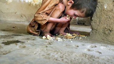Millones de personas en el mundo, especialmente niños viven con hambre.(Archivo)