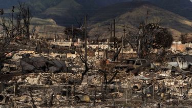 Vista general de las secuelas de un incendio forestal en Lahaina, Hawai, el 21 de agosto de 2023.