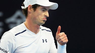 El británico Andy Murray se impuso por un doble 6-2 al belga David Goffin para clasificar a semifinales