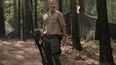 The Walking Dead.