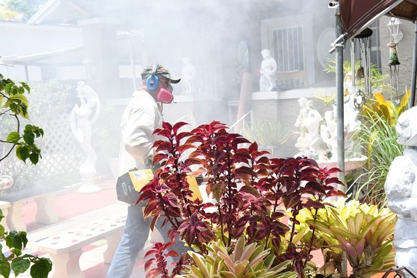 Este jueves empiezan las fumigaciones aéreas en el área de Wynwood, en diez millas a la redonda. (ÁLVARO MATA)