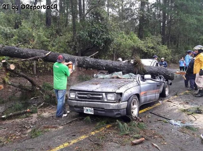 Personal de rescate trabaja en la remoción de un árbol que cayó sobre un auto en Tegucigalpa, Honduras.