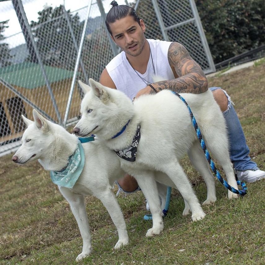 El cantante colombiano Maluma y sus mascotas.